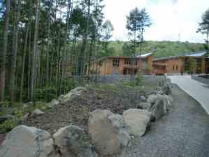 entrance to "the office in the forest"